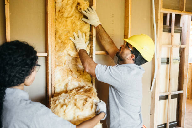 Best Insulation Replacement Services  in Centerville, MN
